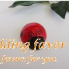 Ladybug Place Card Holder Favours for Wedding