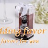 Love Chrome/Pourer Bottle Stopper Favors for Wedding