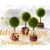 Topiary Place Card Holder (Round)